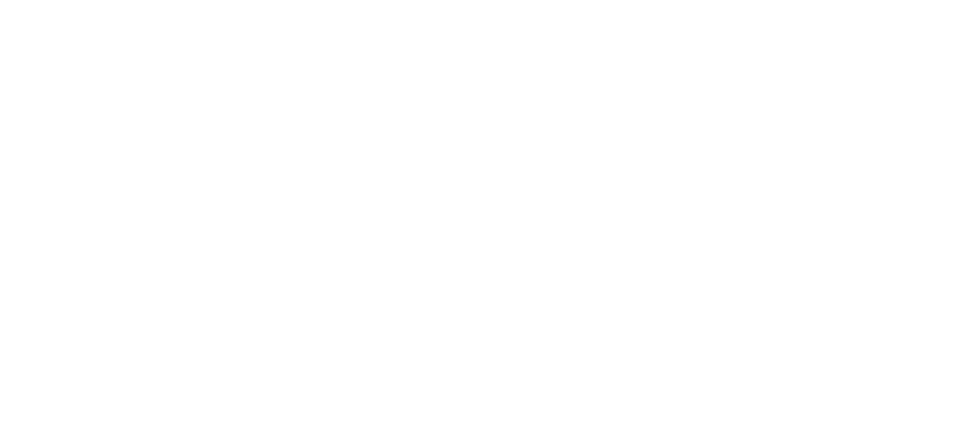grid overlay